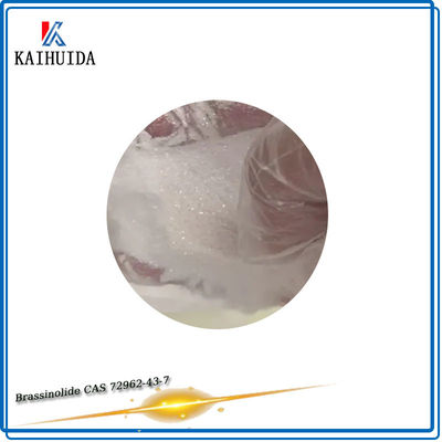 Αγρο χημικές ουσίες Brassinolide 90% TC CAS 72962-43-7 ρυθμιστών αύξησης εγκαταστάσεων ODM